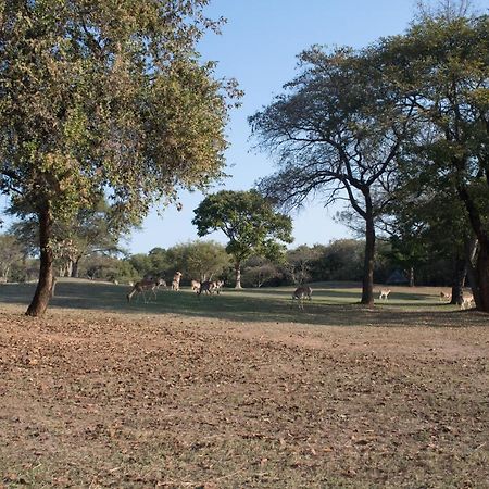 Kruger Park Lodge Unit 245 Hazyview Dış mekan fotoğraf