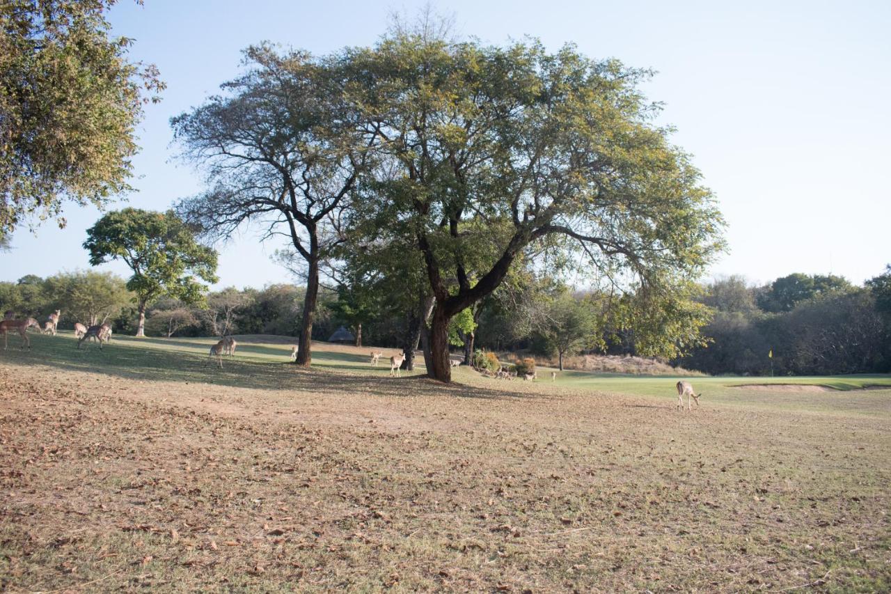 Kruger Park Lodge Unit 245 Hazyview Dış mekan fotoğraf